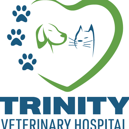 trinity veterinary clinic
