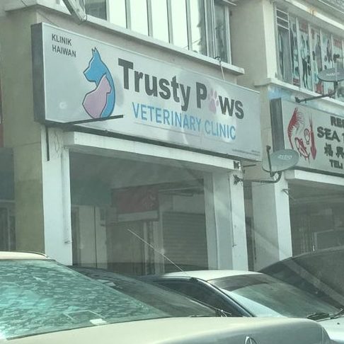 trusty paws veterinary clinic sri rampai