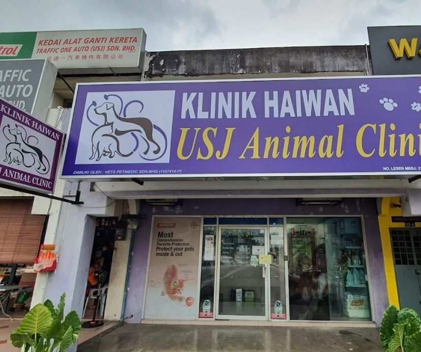 usj animal clinic