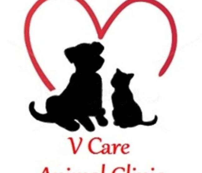 v care klinik haiwan