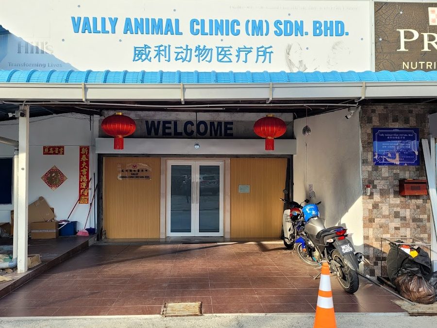vally animal clinic melaka