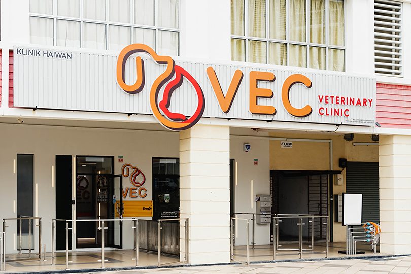 vec veterinary clinic kota damansara pj cats dogs friendly night vet