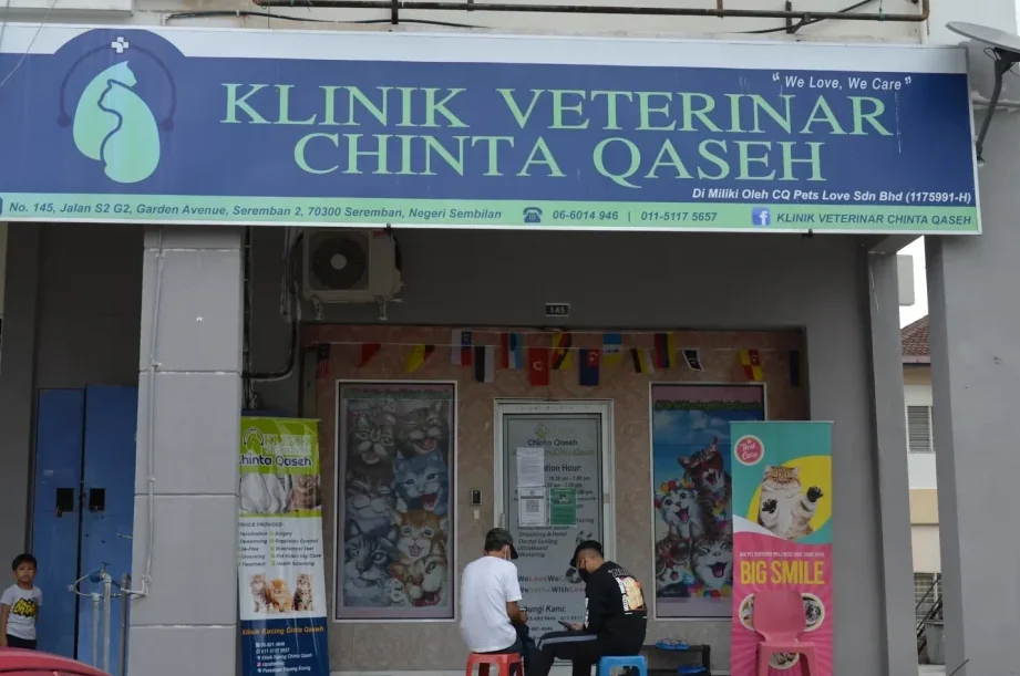 Vet Chinta Qaseh • Klinik Haiwan Seremban 2 1 vet chinta qaseh klinik haiwan seremban 2