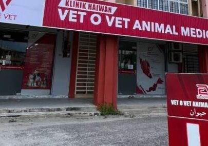 vet o vet animal medical centre
