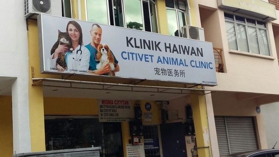 vetico animal clinic bandar bukit raja