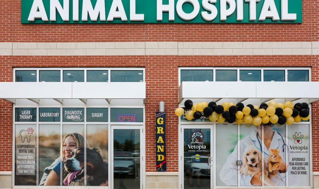 vetopia animal clinic surgery