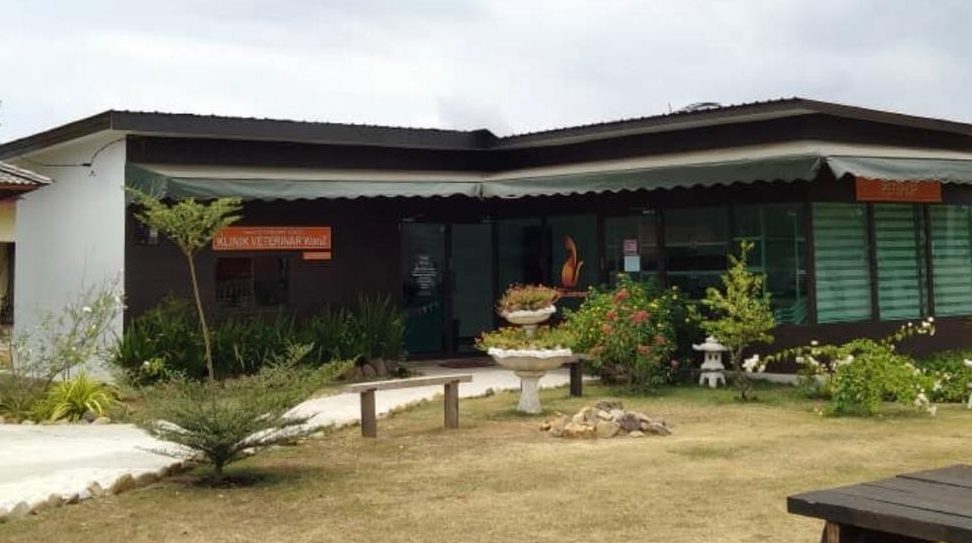 wanz petshop vet clinic