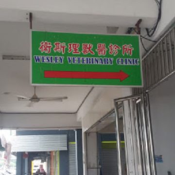 wesley veterinary clinic
