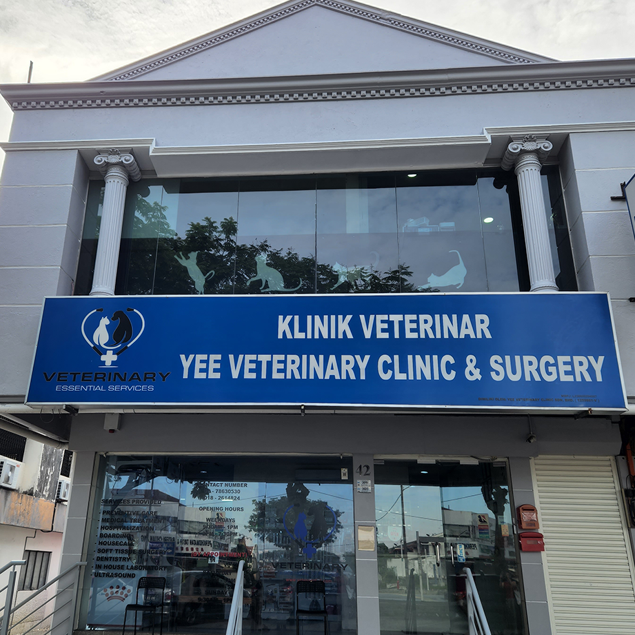 yee veterinary clinic surgery