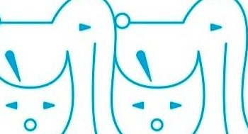 yeoh veterinary clinic surgery sdn bhd