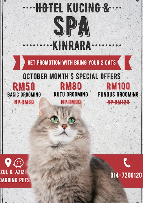 zul azizi boarding pets